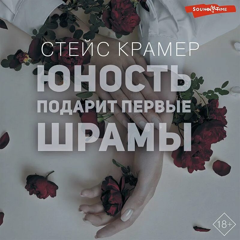 Назад в юность аудиокнига слушать. Юность подарит первые шрамы. Я И есть безумие Стейс Крамер. Стейс Крамер Юность подарит первые шрамы вторая часть.