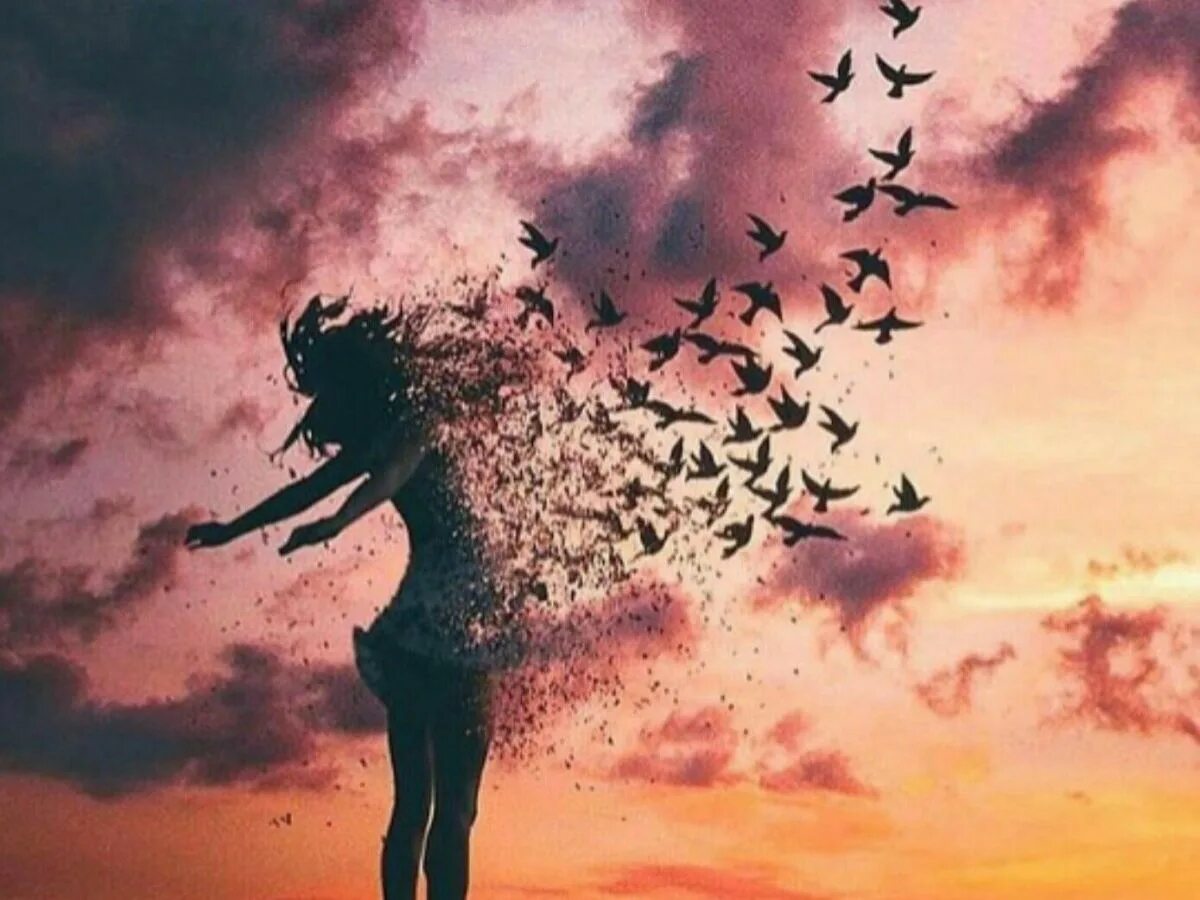 Твоя новая девчонка вылетая я слушать. Птица феникс анна асти. Твоя новая девчонка вылетая я слушать. Птицы из души. Девушка в полете.