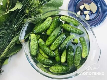 Малосольные огурцы маленькие