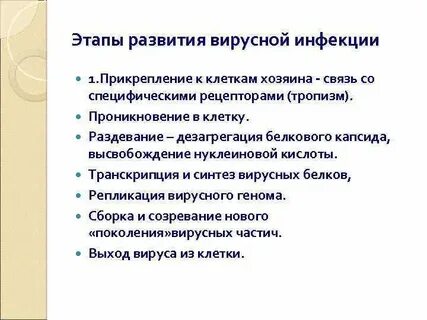 Развитие вирусной инфекции