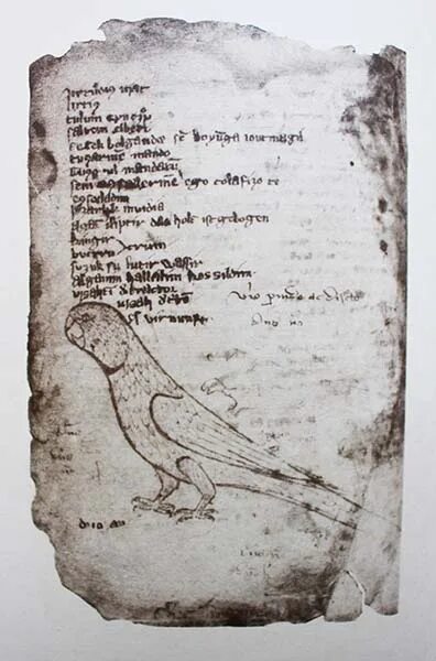 Куманский язык. «кодекс куманикус». Кодекс куманикус кітабы. Кодекс куманикус книга. Кодекс куманикус книга.