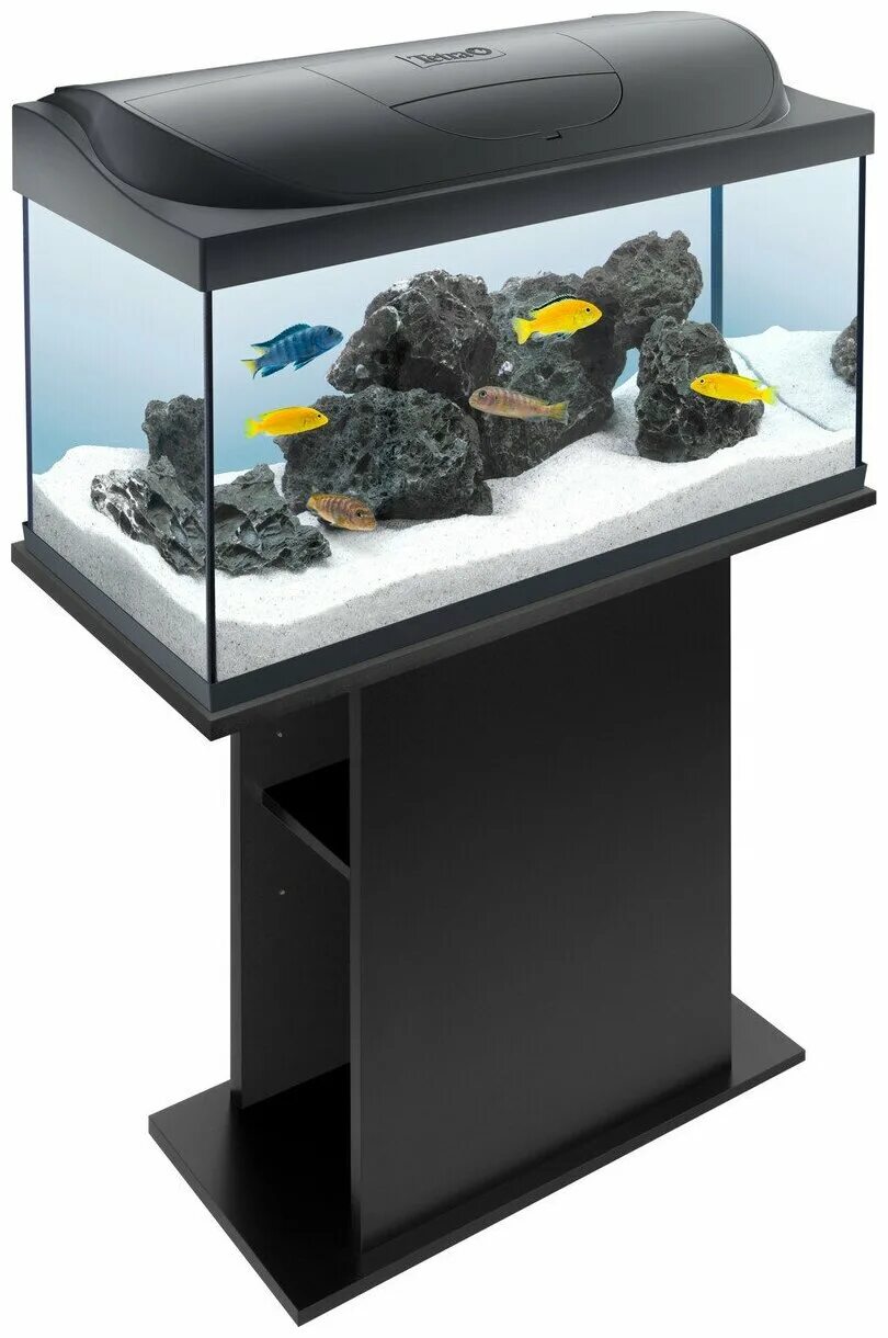 аквариум tetra starter line led 105. аквариум tetra aquaart evolution line 100л. аквариумный комплекс tetra. аквариумный комплекс tetra starter line led 105 л. Tetra aquaart discover 30 л.