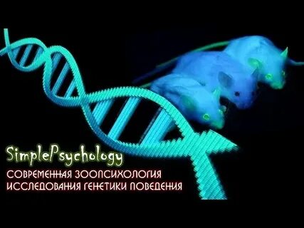 Генетика видео