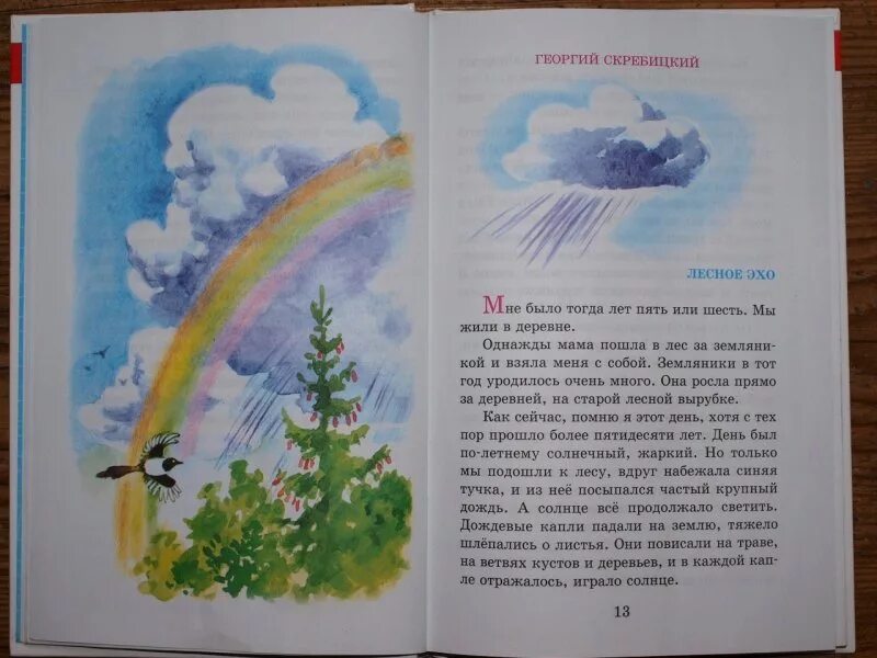 Произведения г скребицкого. Скребицкий произведения о природе. Рисунок к рассказу Лесное Эхо. Рассказ Лесное Эхо.