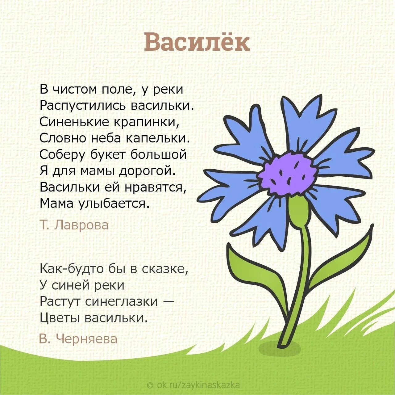 Василек стих. Стихотворение про цветы. Стих про цветочек. Стихи про цветов. Детские стихи про цветочек.