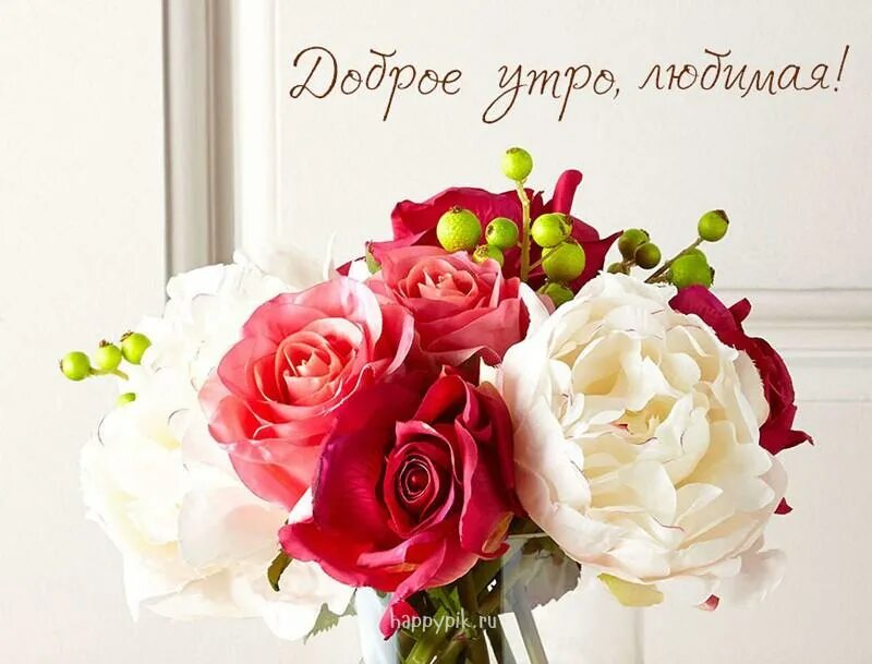 Доброе утро любимой девушке люблю. Доброе утро любимая. бодрое утро любимая. доброе утро любимка. доброе утроутро любимая.
