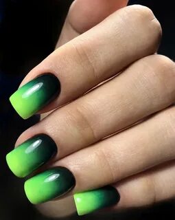 Әртістерді жеке қабылдау