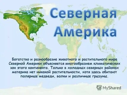 Северная америка путешествие 1 кратко