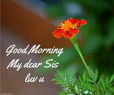 Sister morning