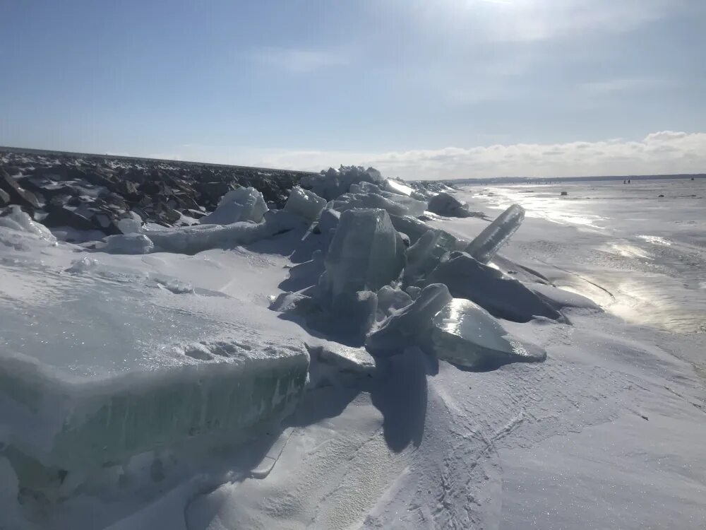 На льдах какого залива обитают белые. Дамба с морской стороны. Лёд на финском заливе сегодня. Залив Вальтера. Таросы высокие.