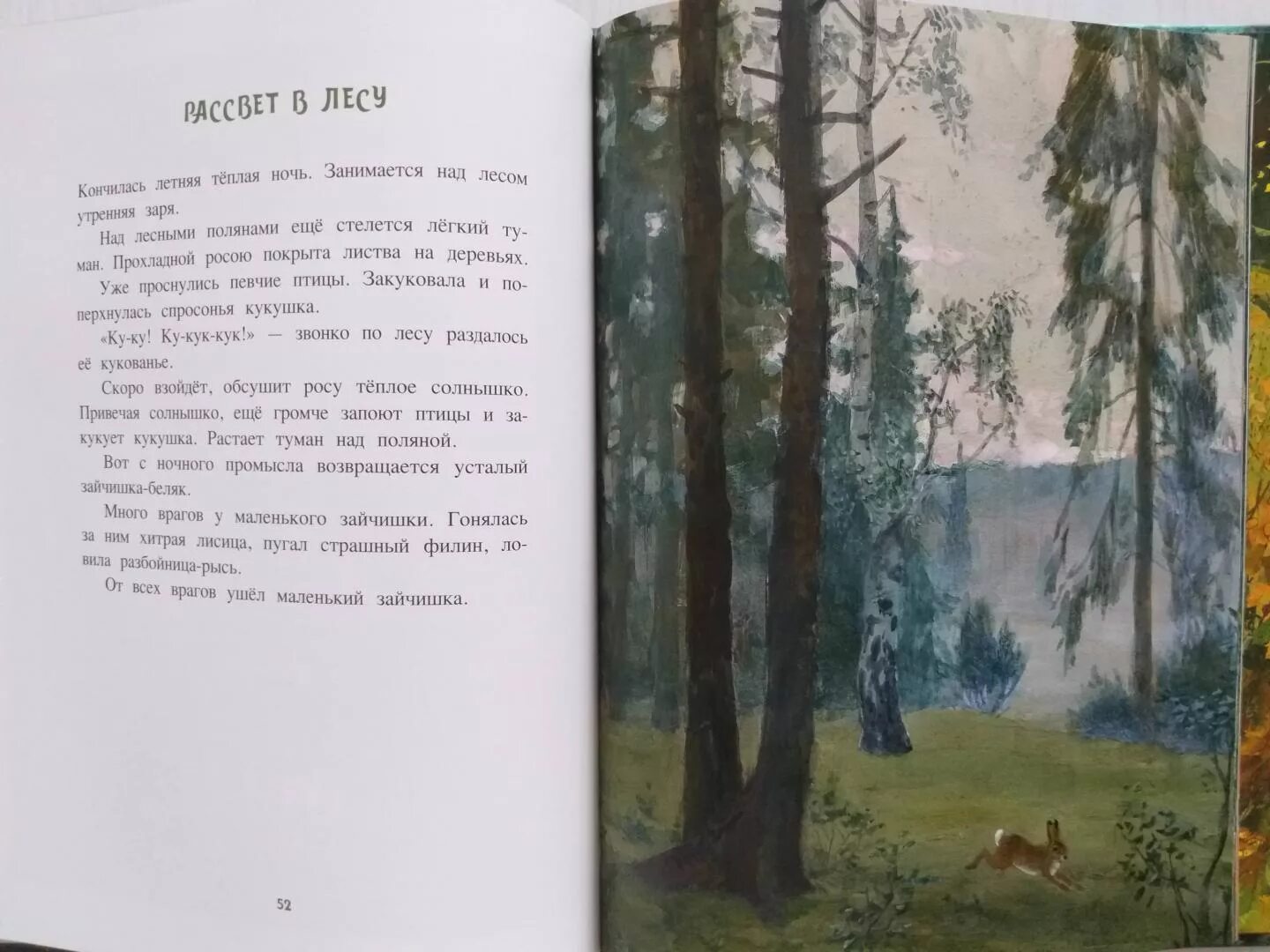 Год в лесу книга Соколов Микитов. Соколов Микитов лето в лесу. Маленький рассказ в лесу