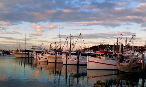 Harbour picture
