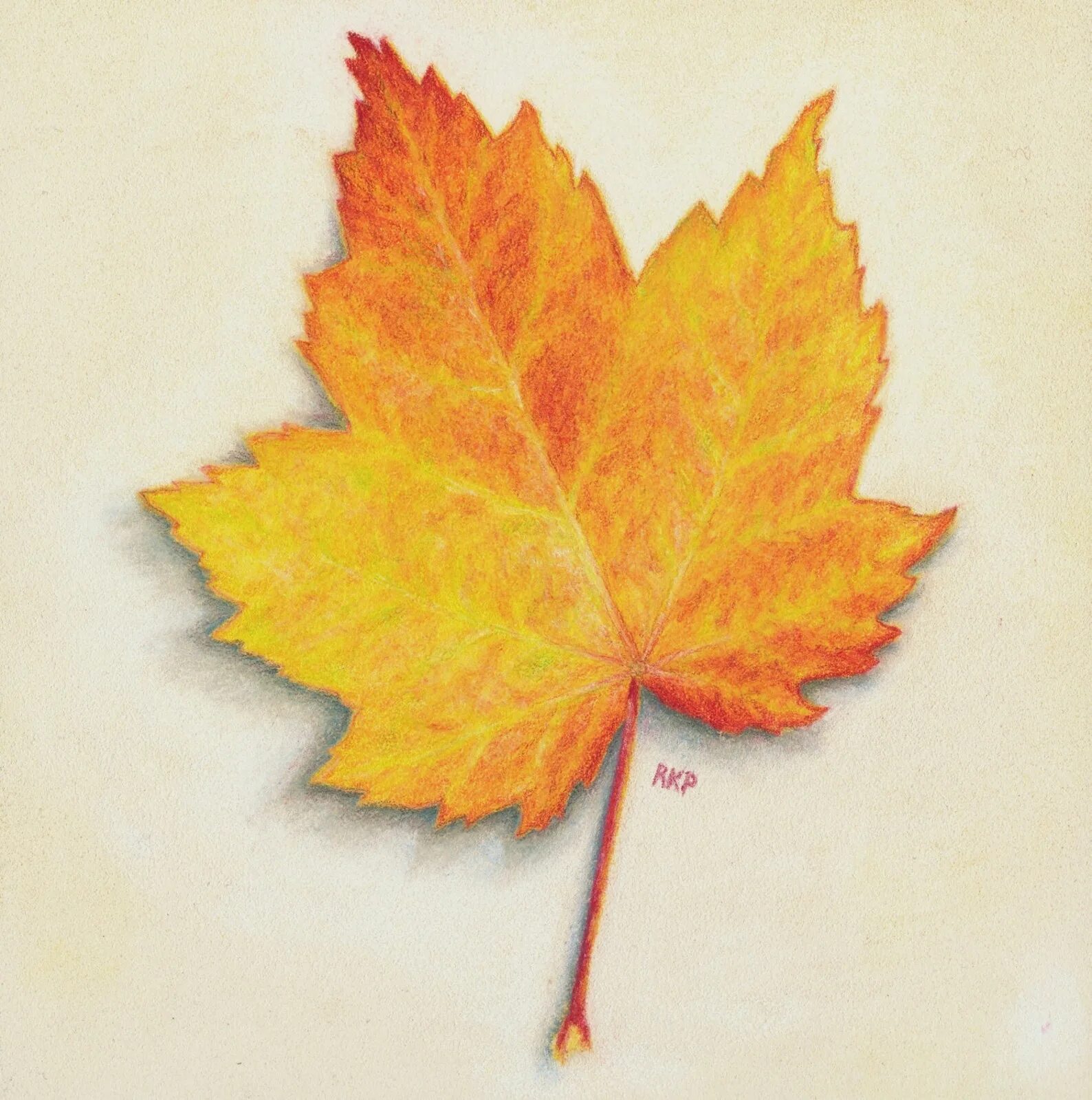 Кленовый лист цветными карандашами. Рисование осенних листочков. Листья цветными карандашами. Осенние листья цветными карандашами.