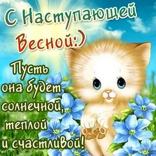 Картинки для ватсапа с первым днем весны