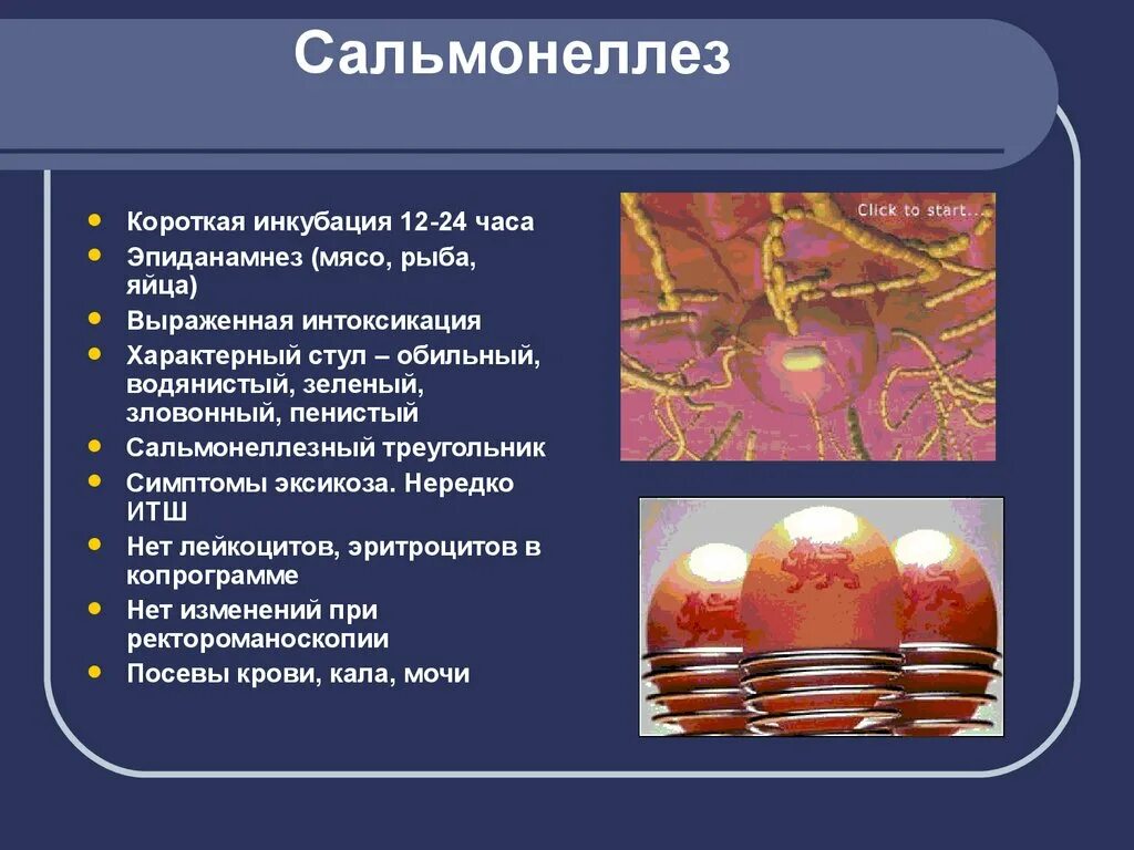 Сальмонеллез. Salmanellyoz. Сальмонеллезная инфекция. Сальмонеллез клинические проявления. Генерализованный сальмонеллез