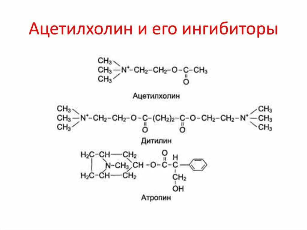 Ацетилхолин структурная формула. Химическая структура ацетилхолина. Ацетилхолин формула биохимия. Ацетилхолин химическое строение.