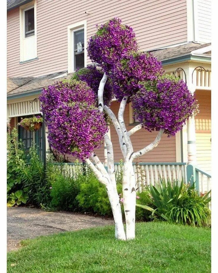 Tree ideas
