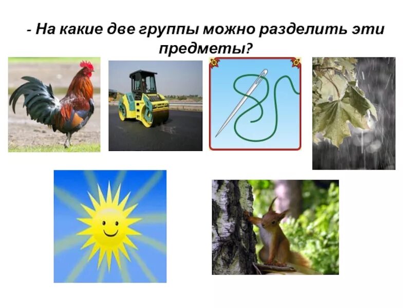 Предметы созданные руками человека. Живыя не зивая природа. Живые и неживые предметы картинки. Живые неодушевленные предметы. Живая и неживая природа.