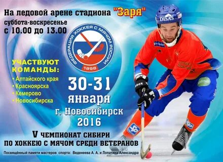 Турнир хоккей с мячом
