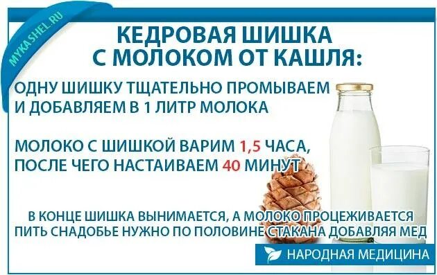 Можно пить горячее молоко при кашле. Кедровая шишка с молоком от кашля. молоко с кедровыми орешками от кашля. молоко с шишкой кедровой от кашля. рецепт от кашля молоко.
