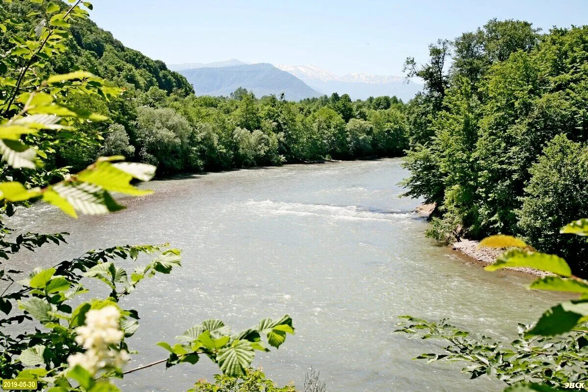 Новые поляны краснодарский край. Река Пшеха Краснодарский край. Самурская Краснодарский край. Пшеха реки Адыгеи. Долина реки Пшеха.