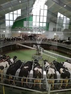 Эконива медынь