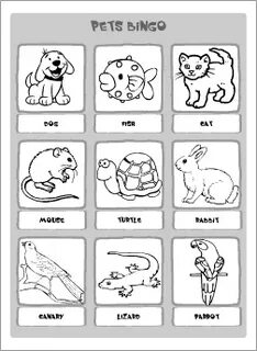 Pet s перевод