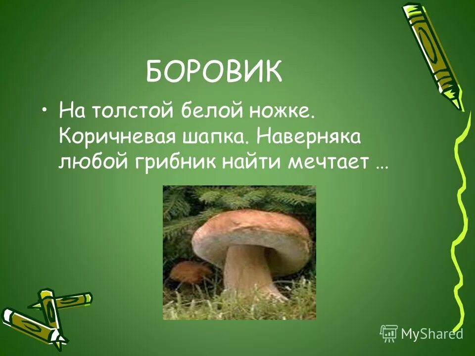 Загадка про грибы бопрыик. Загадки про ядовитые грибы. Загадки про ядовитых грибов. Загадка про гриб Боровик. Боровик вопросы