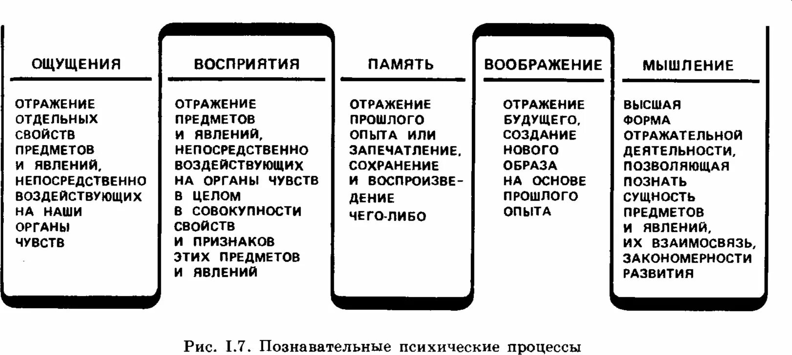 Память относится к психическим