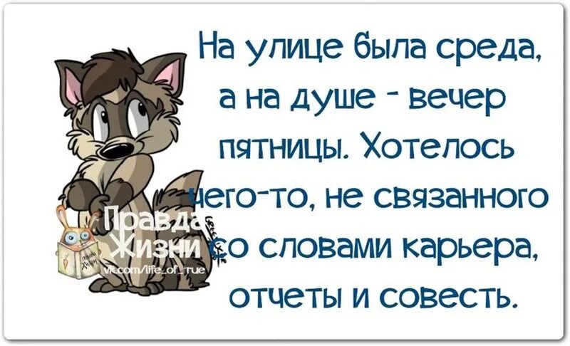 Вечером в среду текст. Высказывания про среду. Вечер среда статусы. Вечер среды картинки прикольные. Афоризмы про среду.