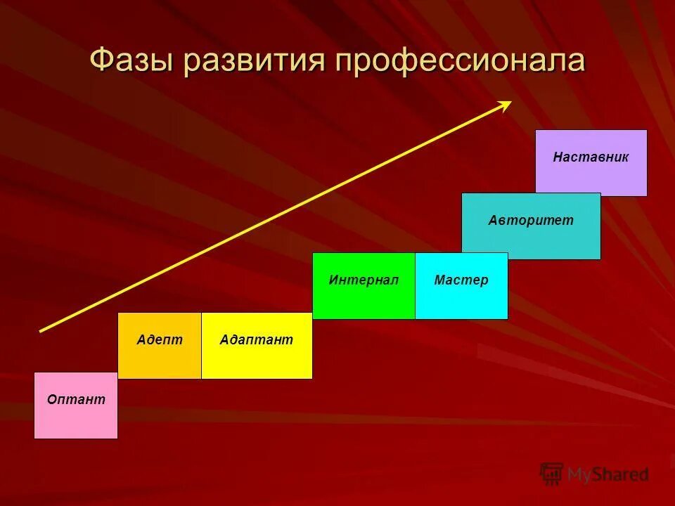 Стадии развития профессионала. Фазы развития профессионализма. Фазы жизненного пути профессионала по Климову. Фазы становления профессионала. Т д становление