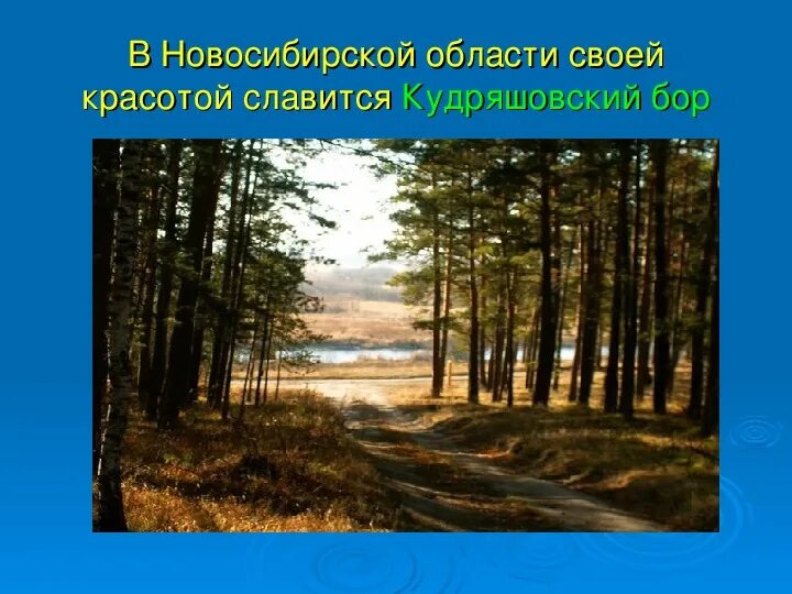 Презентация проектов разнообразие природы родного края. Презентация проектов разнообразие природы родного края