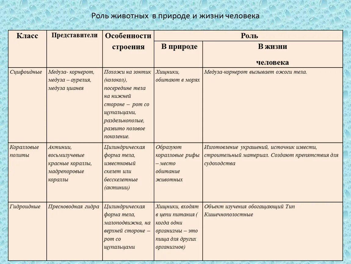 Используя рисунки в параграфе охарактеризуйте. Тип Кишечнополостные 7 класс биология таблица. Таблица Кишечнополостные 7 класс биология. Таблица разнообразие кишечнополостных 7 класс биология. Разнообразие кишечнополостных 7 класс таблица по биологии.