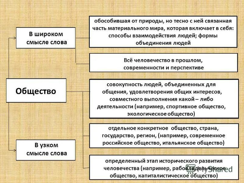 Человек общество примеры