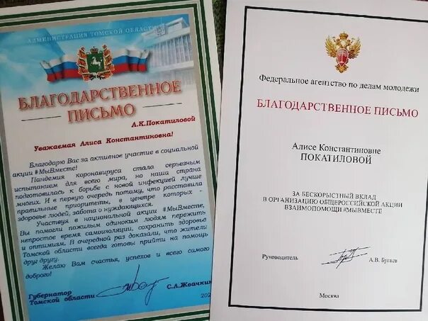 Положение о благодарности губернатора. Благодарственное письмо губернатора. благодарность от губернатора. благодарственное письмо губернатора красноярского края.