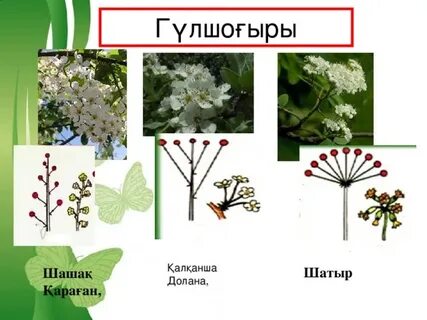 Танымал лесбияндардың өмірбаяндары