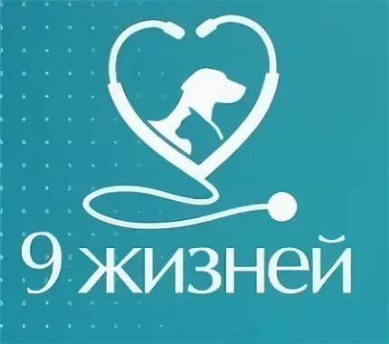 9 жизней рязань на татарской. Ветклиника 9 жизней. Ветклиника 9 жизней рязань на татарской. 9 жизней рязань сайт. 9 жизней рязань сайт.