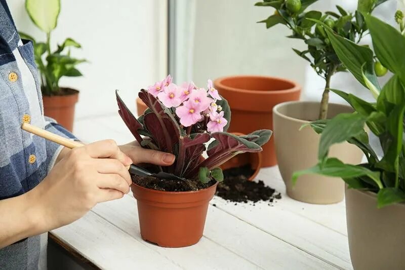 Как новые как ухаживать за
