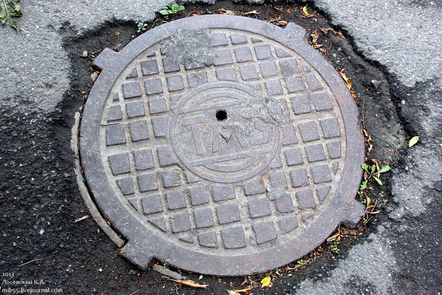 люки в японии. люк на листе. мир люков. мир люков. люк телефонной канализации.