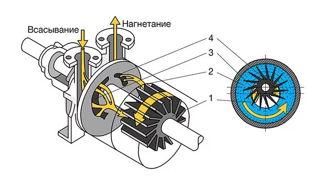 Водокольцевой вакуумный насос ВВН схема. Водокольцевой вакуумный насос принцип работы схема. Конструкция водокольцевого вакуумного насоса. ВВН принцип работы вакуумный насос. Кольцевой насос