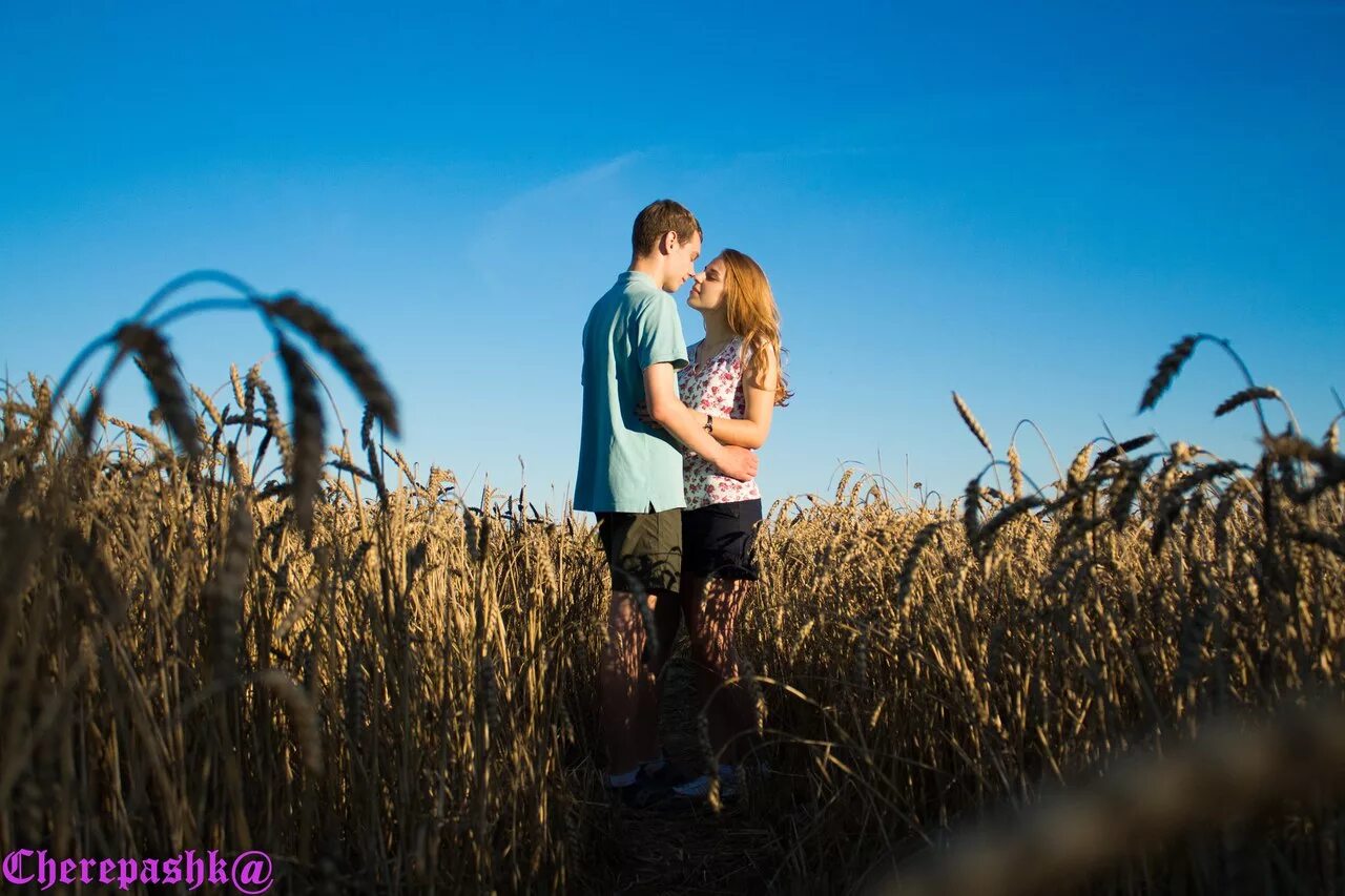 Фотосессия в поле пара. Love story поле летом. Лав стори в пшеничном поле. Молодая пара в поле. Лов лете