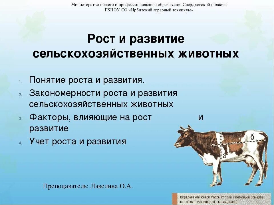 В чем заключается значение развития для животного. Основные закономерности эволюции сельскохозяйственных животных. Учет роста сельскохозяйственных животных. Примеры сельскохозяйственных животных. Рост и развитие сельскохозяйственных животных.