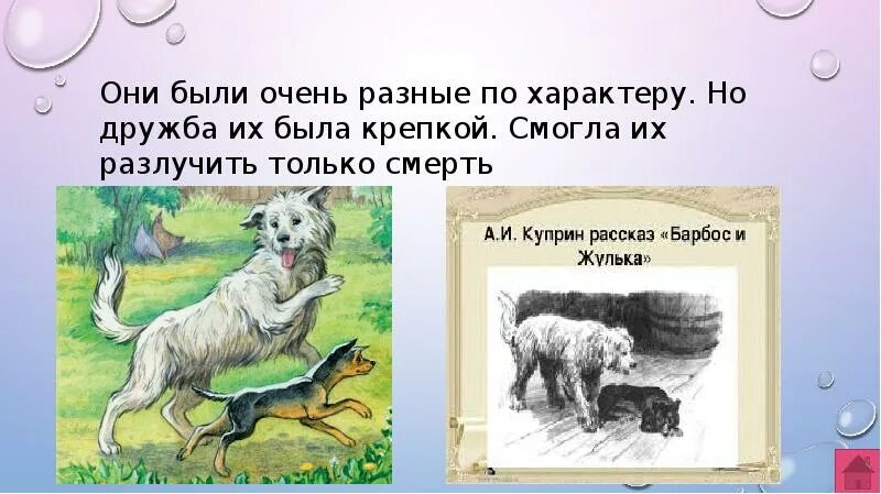 Рисунок жульки из рассказа барбос и жулька. Куприн Барбос и Жулька иллюстрации. Куприн произведение Барбос и Жулька. Иллюстрация к произведению Куприна Барбос и Жулька.