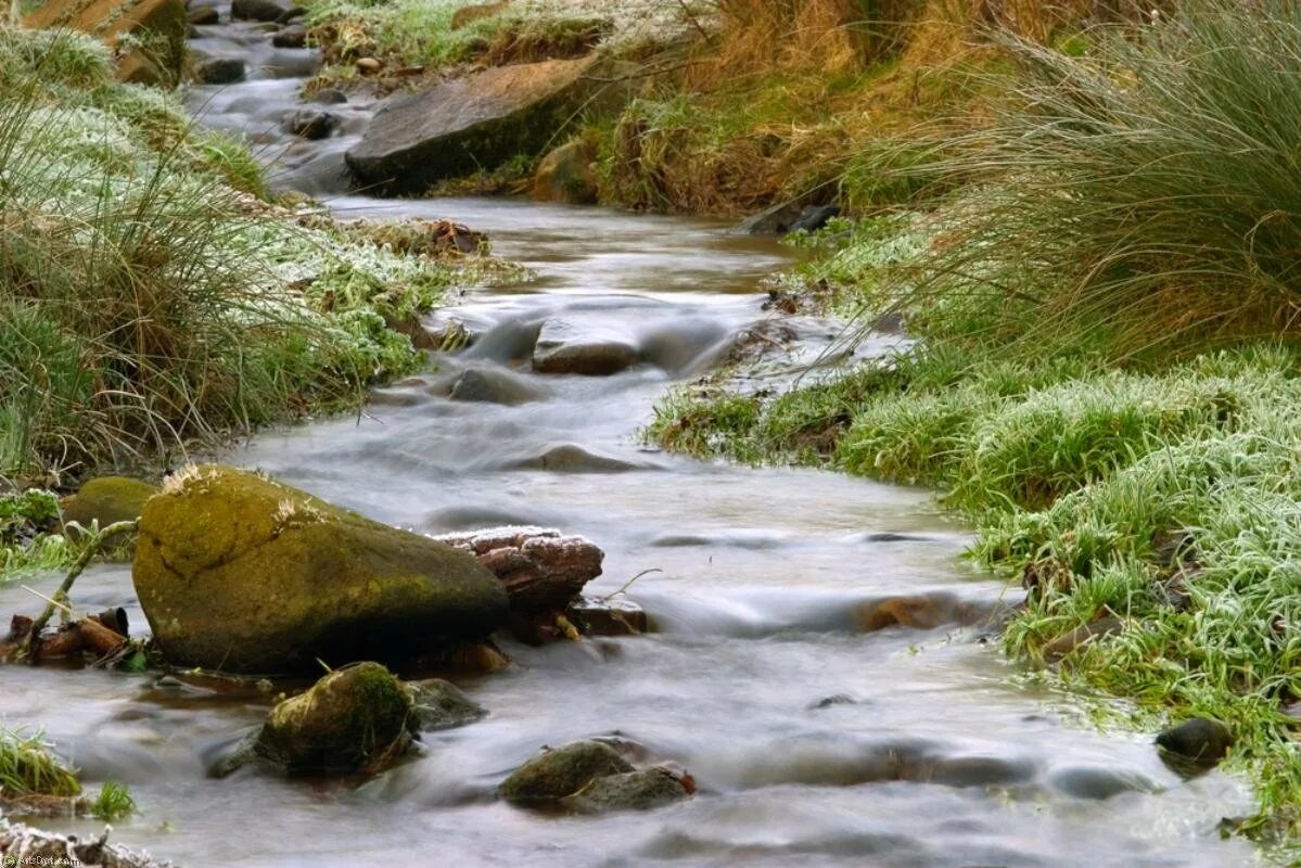 Шум воды ручья. Ручей. Весенние ручьи. Весенний Ручеек.