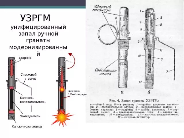 Взрыватель гранаты ф1 в разрезе. Запал гранаты узргм, узргм-2. Запала на русском языке. Запал гранаты узргм 2. Запала на русском языке.