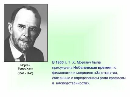 Т морган кратко