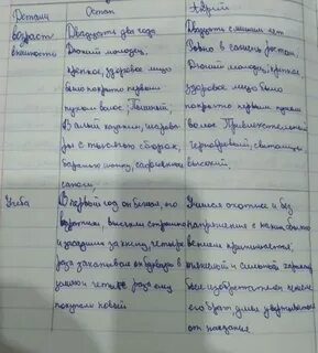 Отношение тараса к учебе