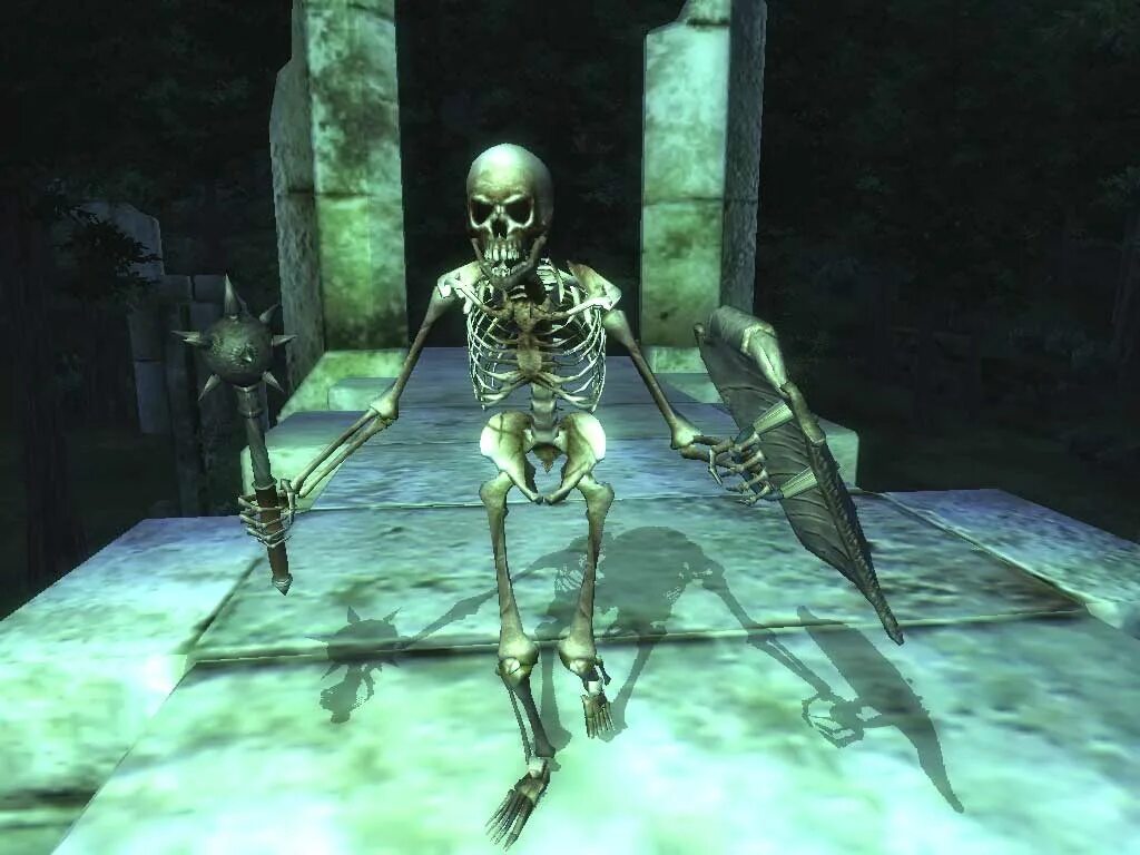 The Elder Scrolls 4 Oblivion скелеты.