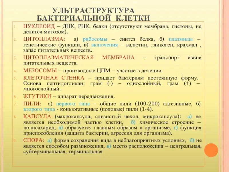 Ультраструктура ДНК. Функция РНК В бактериальной клетке. У бактерий ДНК или РНК. Нуклеоид бактериальной клетки делится митозом. Синтез белка в бактериальной клетке