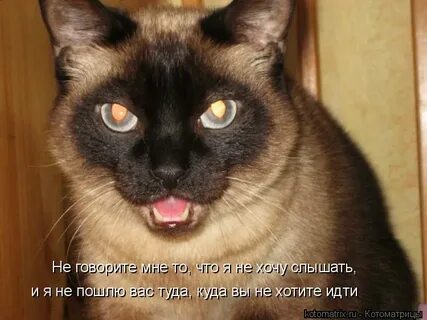 Слышать послать